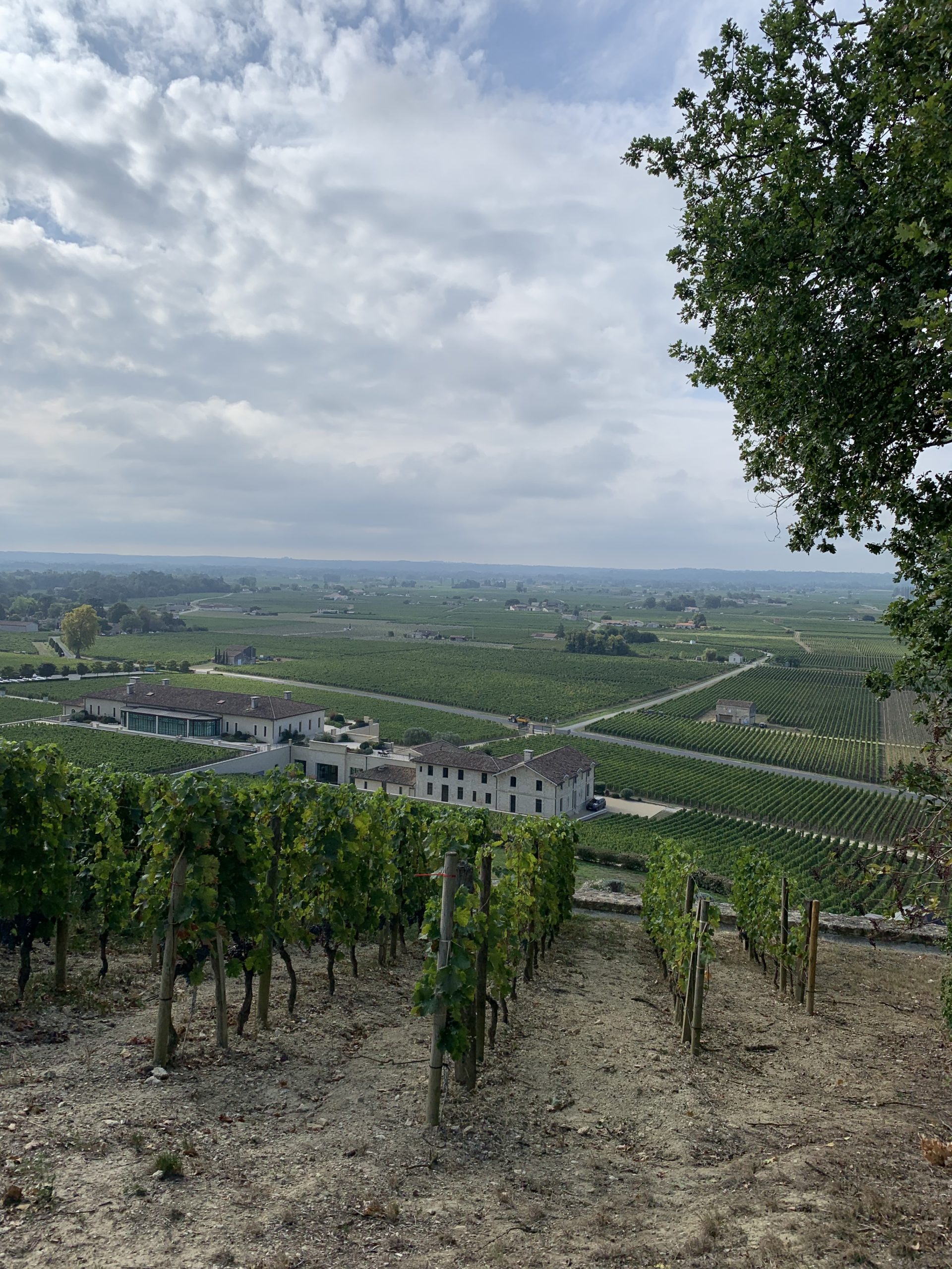 08: Weinbau und -handel im Bordelaise – geo-e-log