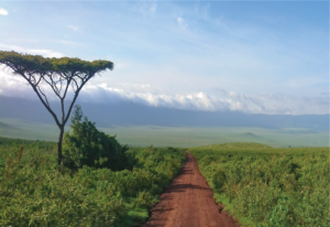 Serengeti National Park